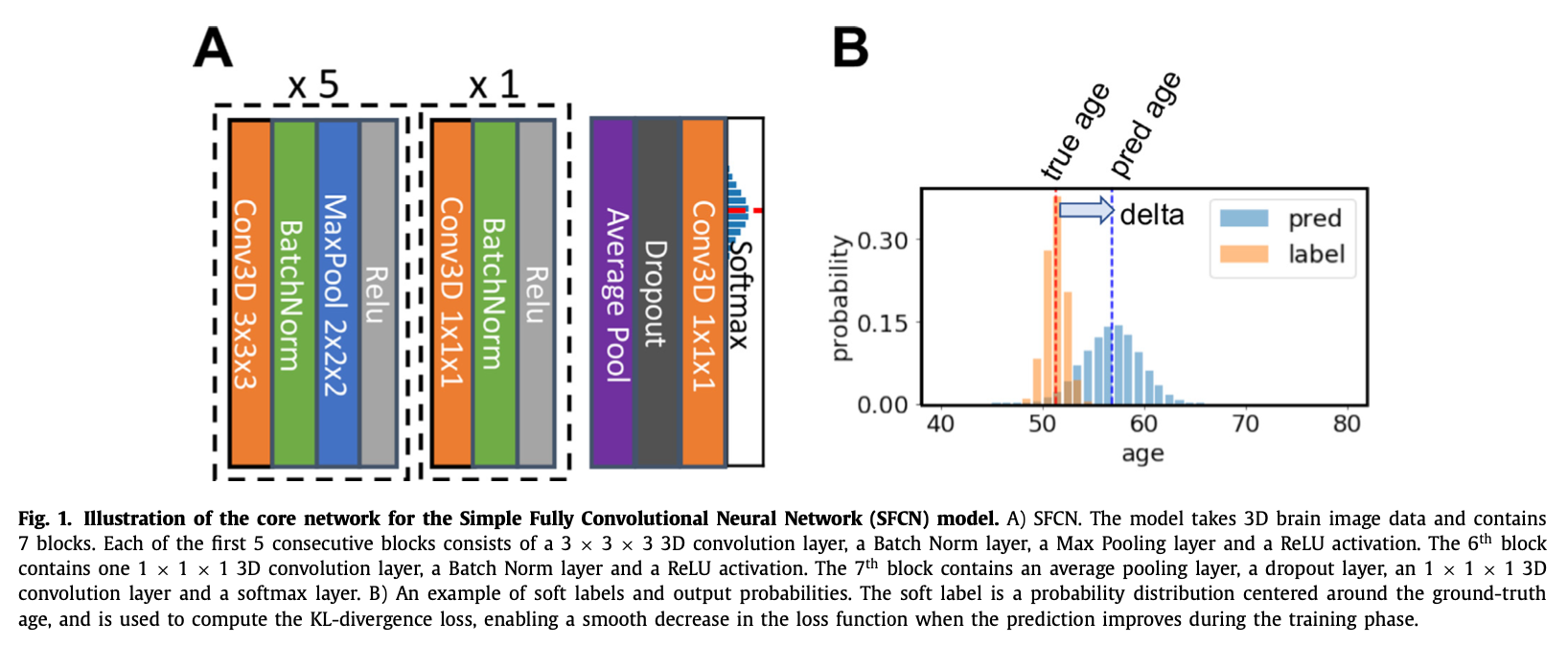 Fig. 1. Illustration of the core network for the Simple Fully Convolutional Neural Network (SFCN) model.